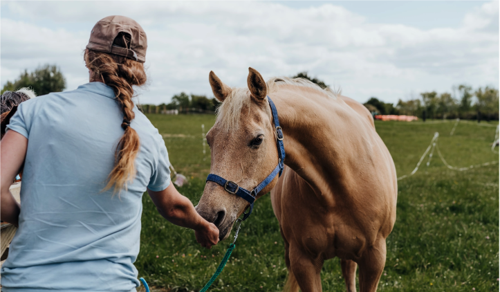 Pars Pituitary Intermedia Dysfunction in Ponies